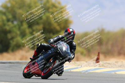 media/May-15-2022-SoCal Trackdays (Sun) [[33a09aef31]]/Turn 7 (1145am)/